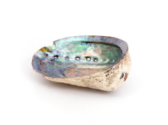 Similar image 22319417