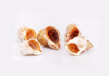 Similar image 22319420