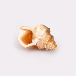 Similar image 22319422