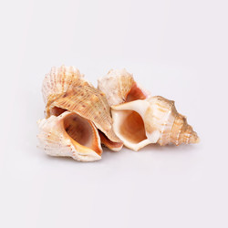 Similar image 22319423