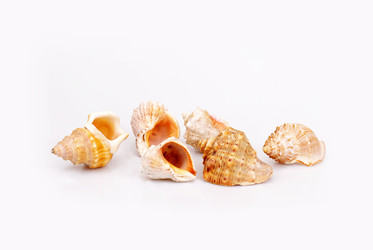 Similar image 22319424