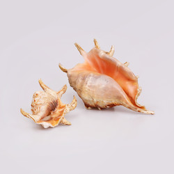 Similar image 22319425