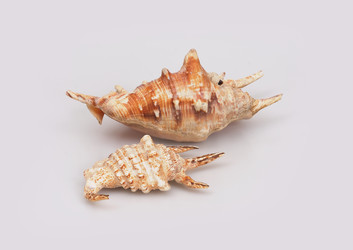 Similar image 22319426