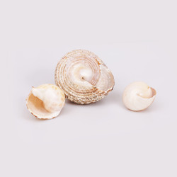 Similar image 22319427