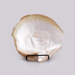 Similar image 22321917