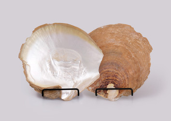 Similar image 22321918