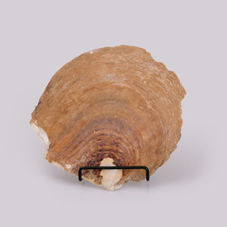 Similar image 22321919