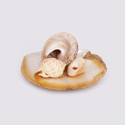 Similar image 22321920