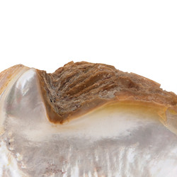 Similar image 22321923