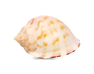 Similar image 22321924