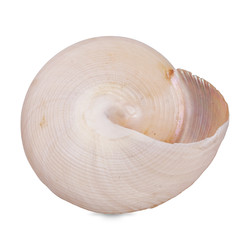 Similar image 22321925