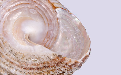 Similar image 22321927