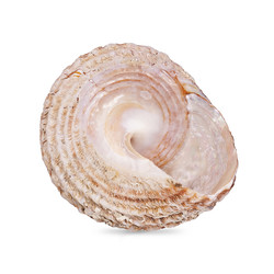 Similar image 22321928