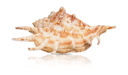 Similar image 22321930