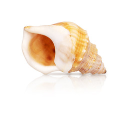 Similar image 22321931