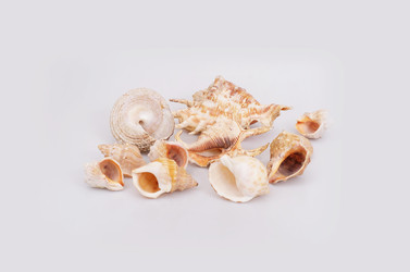 Similar image 22321932