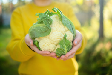 Similar image 22292646