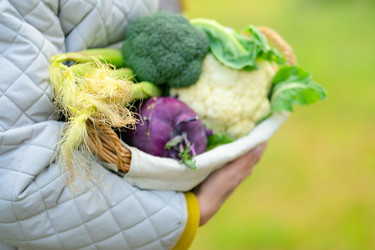 Similar image 22292649