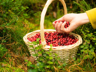 Similar image 22292660