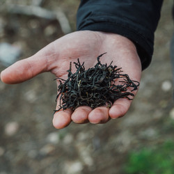 Similar image 22329021