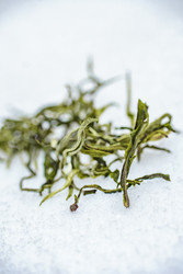 Similar image 22329390