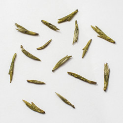 Similar image 22329940