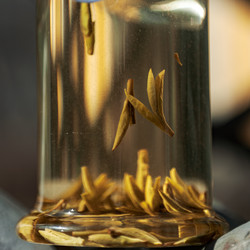 Similar image 22329944