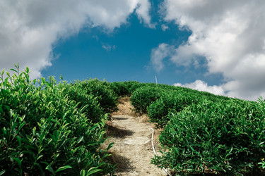 Similar image 22329950