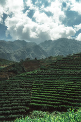 Similar image 22330292