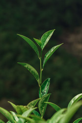 Similar image 22293610