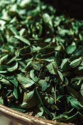 Similar image 22293618