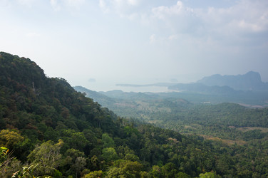 Similar image 22299564