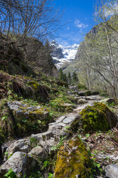 Similar image 22299585