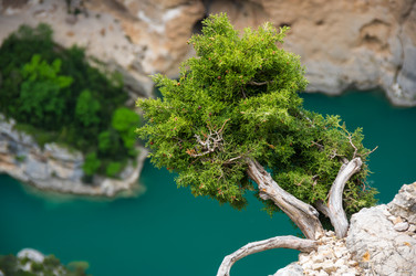 Similar image 22298162