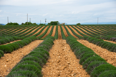 Similar image 22298163