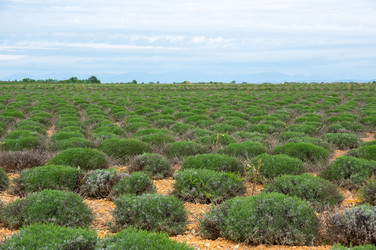 Similar image 22298164