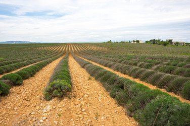 Similar image 22298165