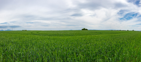 Similar image 22298239