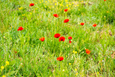 Similar image 22298242