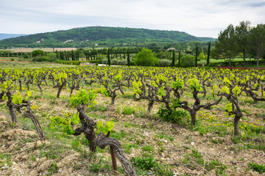 Similar image 22298247