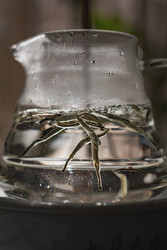 Similar image 22325918