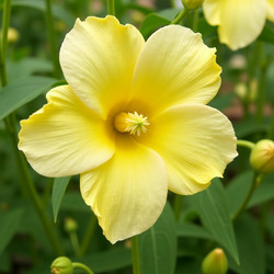 Similar image 22317699