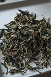 Similar image 22296715