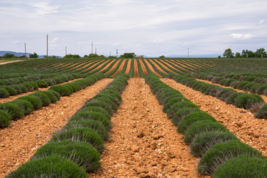 Similar image 22298707