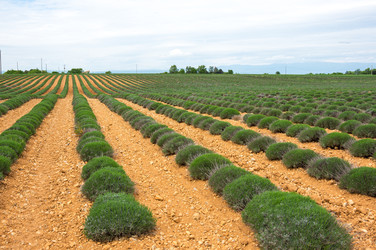 Similar image 22298708