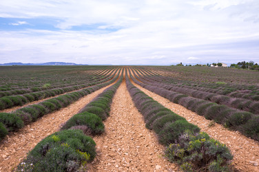 Similar image 22298709