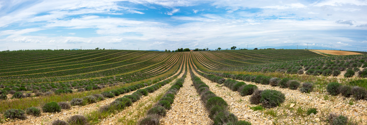 Similar image 22298710