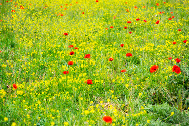 Similar image 22298711