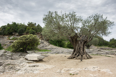 Similar image 22298920