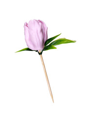 Similar image 22321933